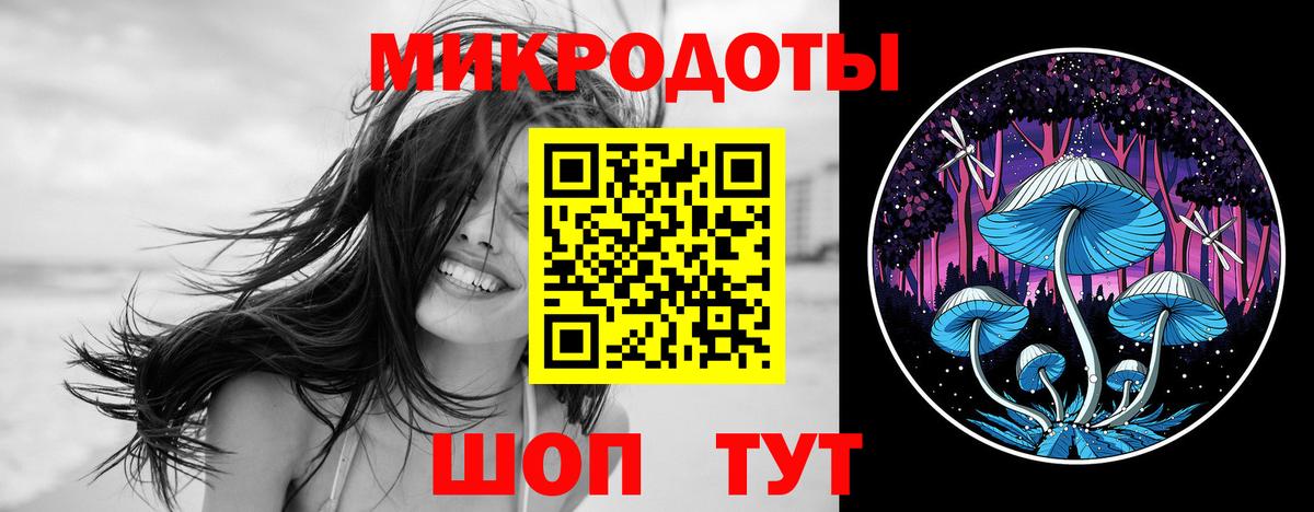 Галлюциногенные грибы MAGIC MUSHROOMS  Вход с VPN  Новокуйбышевск 