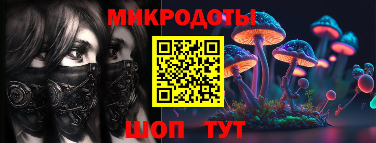 Псилоцибиновые грибы Cubensis Новокуйбышевск